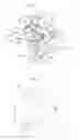 Fig. 03 - FINISHER AND IMAGE FORMING SYSTEM