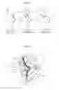 Fig. 07 - FINISHER AND IMAGE FORMING SYSTEM