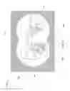 Fig. 06 - Boundless projected interactive virtual desktop
