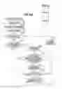 Fig. 03 - Image processing apparatus, image processing method, and storage medium