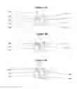 Fig. 06 - System and method for rendering smooth color gradients across multiple shapes