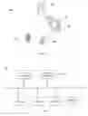 Fig. 02 - Depth map generation apparatus, method and non-transitory computer-readable medium therefor