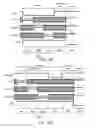 Fig. 37 - Systems and methods for operating pixels in a display to mitigate image flicker