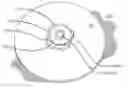 Fig. 01 - Electronic cymbal assembly and components thereof