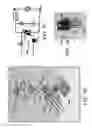 Fig. 02 - Thyristor and thermal switch device and assembly techniques therefor