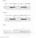 Fig. 06 - Display substrate and method of fabricating display substrate