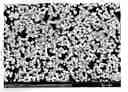 Fig. 01 - Nickel-cobalt-manganese complex hydroxide particles and method for producing same, positive electrode active material for nonaqueous electrolyte secondary battery and method for producing same, and nonaqueous electrolyte secondary battery