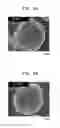 Fig. 07 - Electrode active material, lithium secondary battery containing the electrode active material, and method of preparing the electrode active material