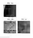 Fig. 09 - Electrode active material, lithium secondary battery containing the electrode active material, and method of preparing the electrode active material