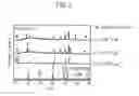Fig. 07 - Lithium solid electrolyte