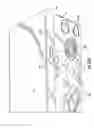 Fig. 11 - High strength door systems suitable for load centers and/or meter breakers