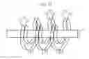 Fig. 18 - Power transmission device and antenna