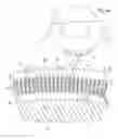Fig. 01 - STATOR RING, GENERATOR AND WIND TURBINE EQUIPPED THEREWITH
