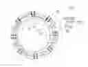 Fig. 01 - Stator coil, method for manufacturing stator, and rotating electrical machine