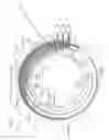 Fig. 02 - Stator for rotating electrical machine