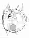 Fig. 47 - Access node for end-to-end beamforming communications system