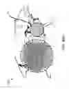 Fig. 55 - Access node for end-to-end beamforming communications system