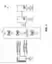 Fig. 02 - Coordinating reference signals in wireless communication