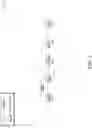 Fig. 02 - Propagating flow characteristics in service function chaining (SFC) headers