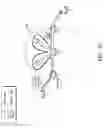 Fig. 06 - Propagating flow characteristics in service function chaining (SFC) headers