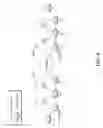 Fig. 08 - Propagating flow characteristics in service function chaining (SFC) headers