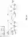 Fig. 10 - Propagating flow characteristics in service function chaining (SFC) headers