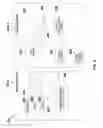 Fig. 10 - Collecting messages from a group chat window that mention a specific user