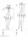 Fig. 06 - Focus detection apparatus and method, and image capturing apparatus
