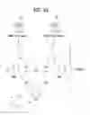 Fig. 03 - Method for receiving a signal in wireless communication system and a device therefor