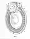 Fig. 12 - Air seed meter disc with flow directing pockets