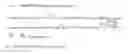 Fig. 02 - Polyploid two-line hybrid rice and breeding method thereof