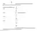 Fig. 07 - Polyploid two-line hybrid rice and breeding method thereof