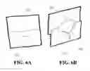Fig. 07 - Pet Transporter Container