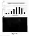 Fig. 19 - Protection of progenitor cells and regulation of their differentiation