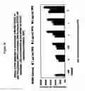 Fig. 27 - Protection of progenitor cells and regulation of their differentiation