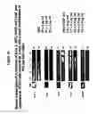 Fig. 28 - Protection of progenitor cells and regulation of their differentiation