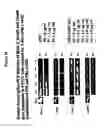Fig. 29 - Protection of progenitor cells and regulation of their differentiation