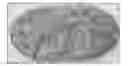 Fig. 01 - NON-BLOOM COMESTIBLE PRODUCT