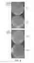 Fig. 06 - NON-BLOOM COMESTIBLE PRODUCT