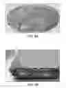 Fig. 07 - NON-BLOOM COMESTIBLE PRODUCT
