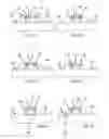 Fig. 07 - Apparatus and method for transferring and placing collated sausage links into a packaging item