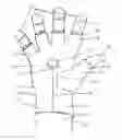 Fig. 01 - GLOVE WITH MAGNETIC GRIP AID
