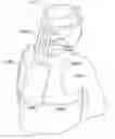 Fig. 01 - System and method for head and spine immobilization and protection