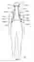 Fig. 02 - System and method for head and spine immobilization and protection