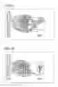 Fig. 13 - Sole for a shoe