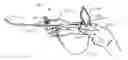 Fig. 01 - Handheld surgical endoscope