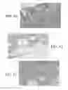 Fig. 35 - Method and apparatus for biological evaluation