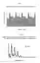 Fig. 08 - Apparatus and method for imaging and analyzing hemodynamics