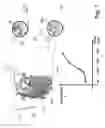 Fig. 02 - SYSTEM AND METHOD FOR MEASURING EFFECTIVENESS OF AUTONOMIC NEUROSTIMULATION
