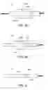 Fig. 09 - MEDICAL IMAGING APPARATUS AND METHOD
